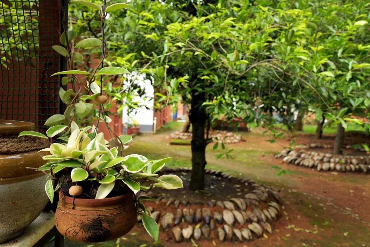Stayvista At La Riva Heritage Villa With Bicycle Alappuzha Eksteriør bilde